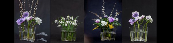Neljä erilaista kukka-asetelmaa Aalto-vaaseissa. InVase-kukkatuki on laitettu Iittalan Aalto-vaasiin ja ja siihen on aseteltu erilaisia ja -korkuisia kukkia. Mm lumikelloja, anemooneja, pajunkissoja ja mimoosaa.